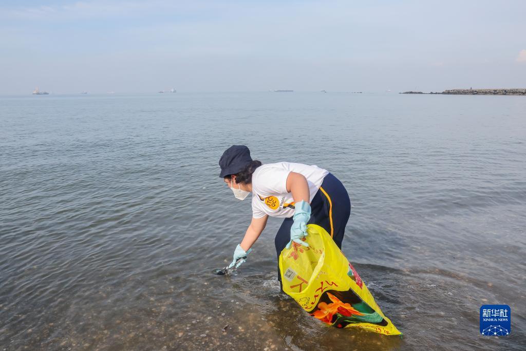 东海捕鱼大师